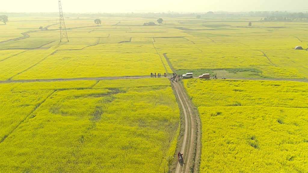सिँचाइ पुगेपछि गैँडाकोटको भेँडाबारीमा लहलह तोरीखेती