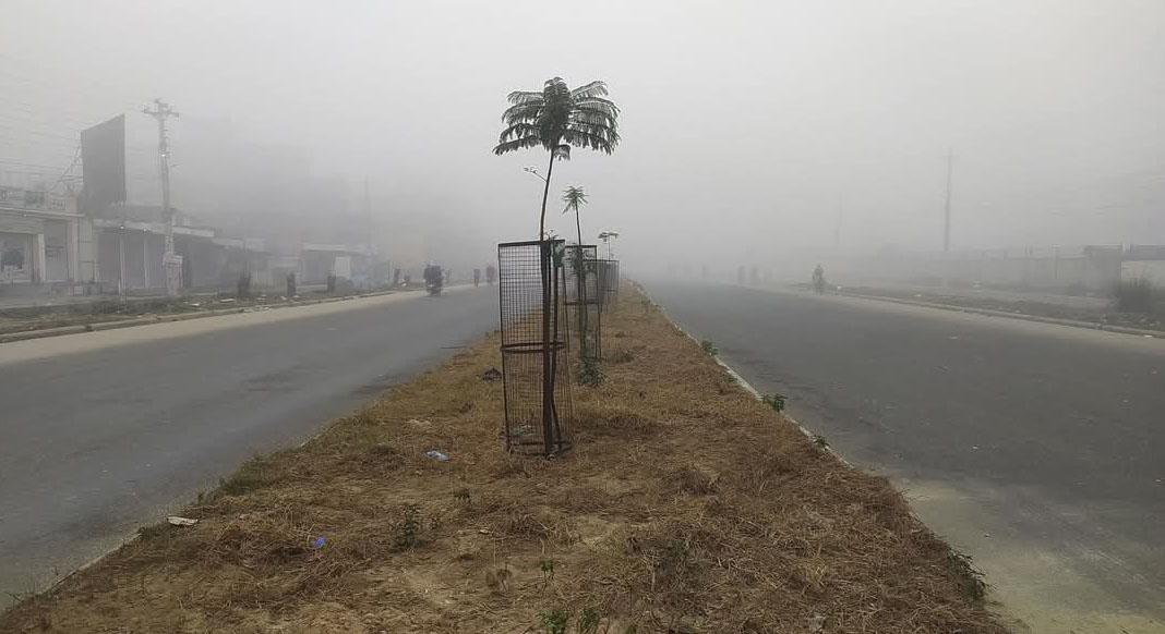 चिसोले तराई-मधेसको जनजीवन बन्यो कष्टकर