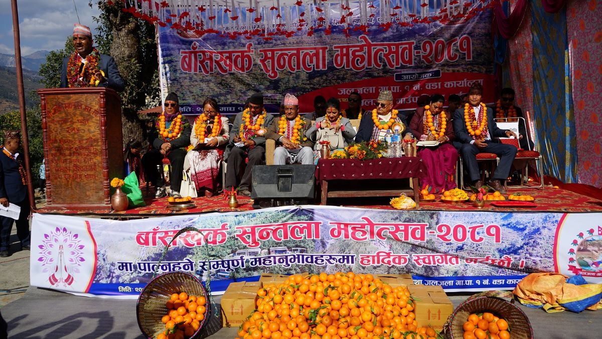 म्याग्दीको बाँसखर्कमा सुन्तला महोत्सव- अतिथिलाई सुन्तला उपहार, सुन्तलाकै माला