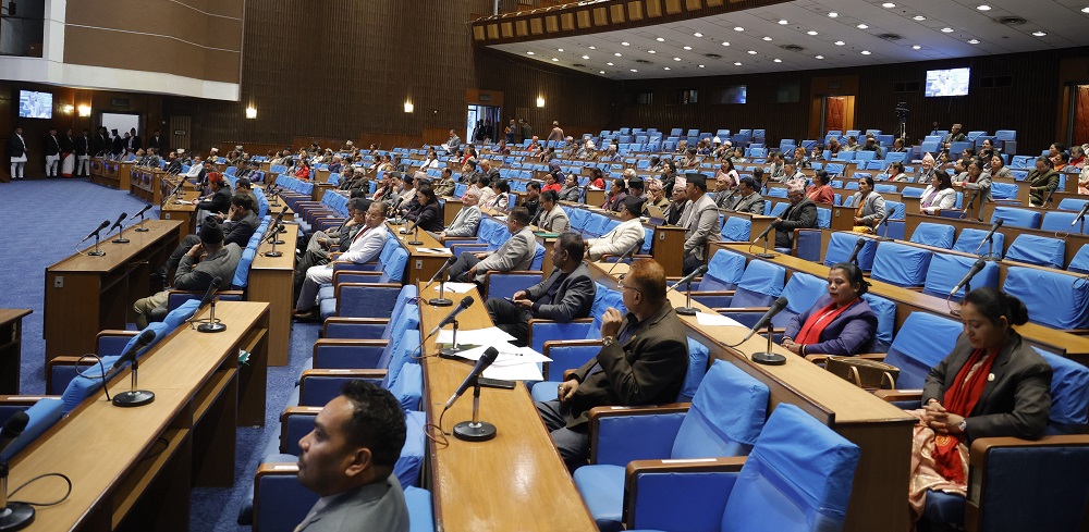 मिडिया काउन्सिल विधेयक प्रतिनिधि सभामा पेश