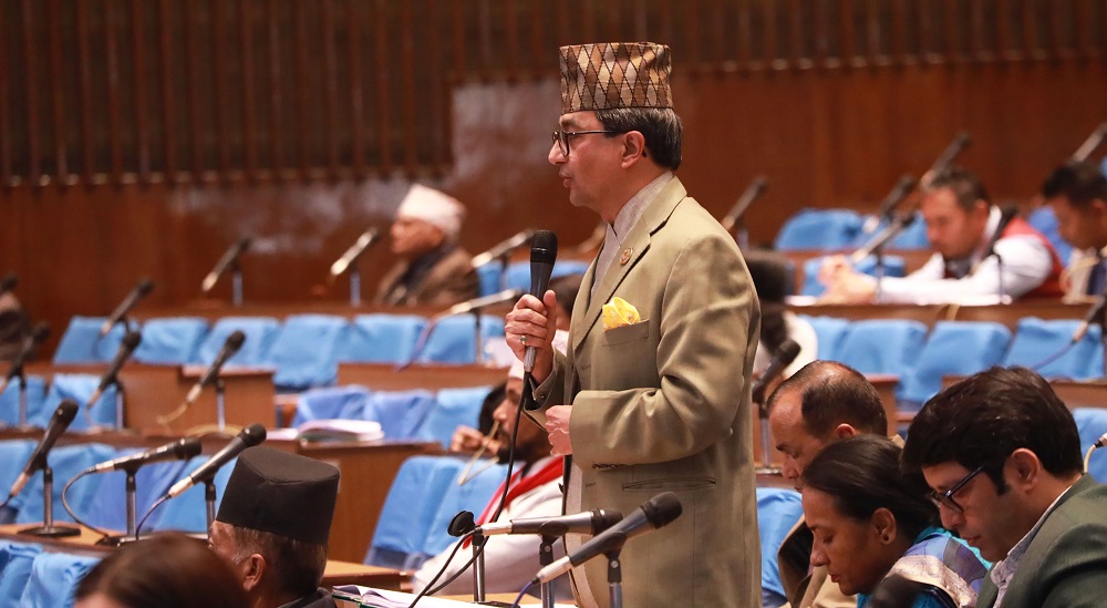 प्रतिनिधिसभा बैठकमा ‘ग्रे लिस्ट’बारे सरकारको ध्यानाकर्षण