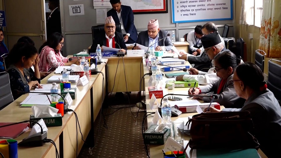 सार्वजनिक विधायन समितिले बिहीबार पुरातत्व विभागको भ्रमण गर्ने