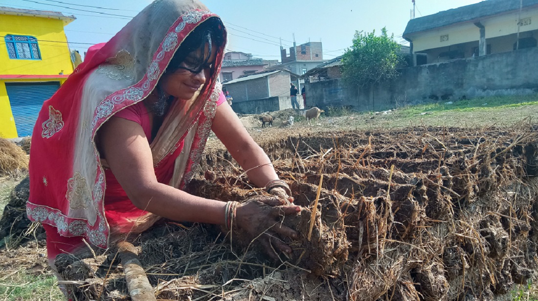 हिउँदमै ‘गुइँठा’को जोहो, बर्खालाई सजिलो