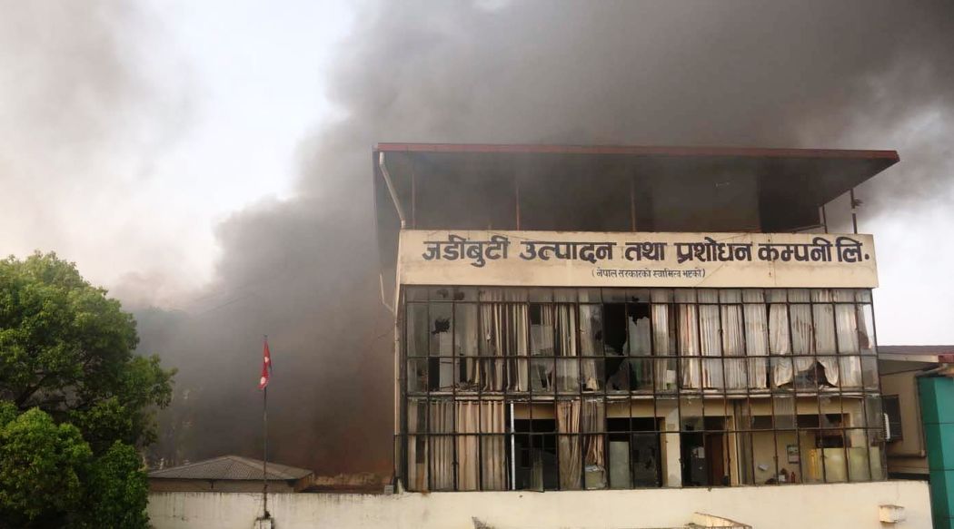 राजावादी अराजकताको कोपभाजनमा परेको जडीबुटी कम्पनी चाँडै बौरिने आशा