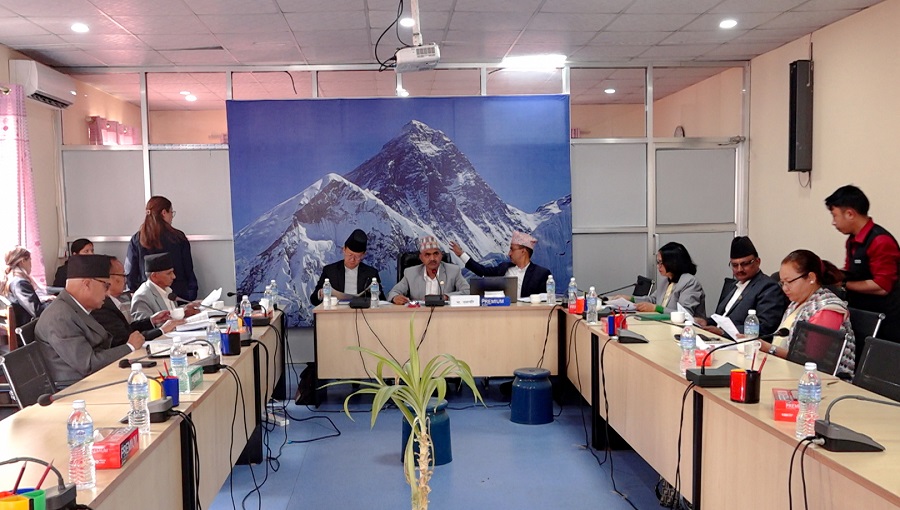 नीति तथा कार्यक्रममा समावेश गर्नुपर्ने विषयमा संसदीय समितिको सुझाव